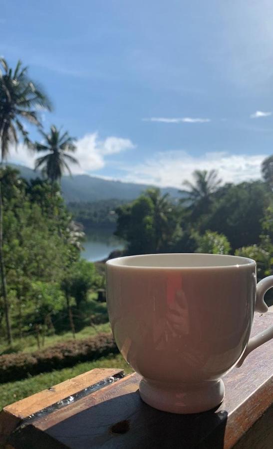 Victoria Views Resort Kandy Digana Kültér fotó