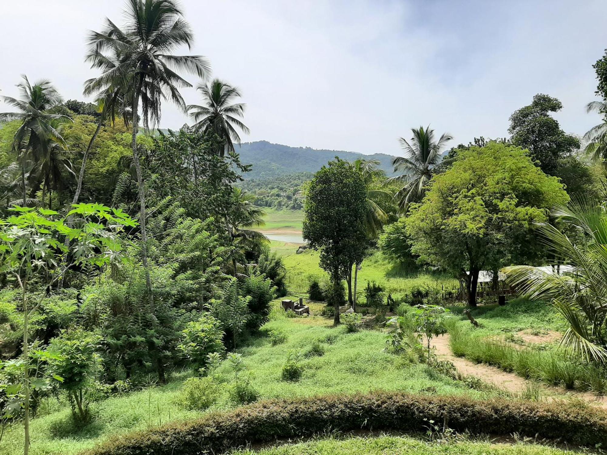 Victoria Views Resort Kandy Digana Kültér fotó